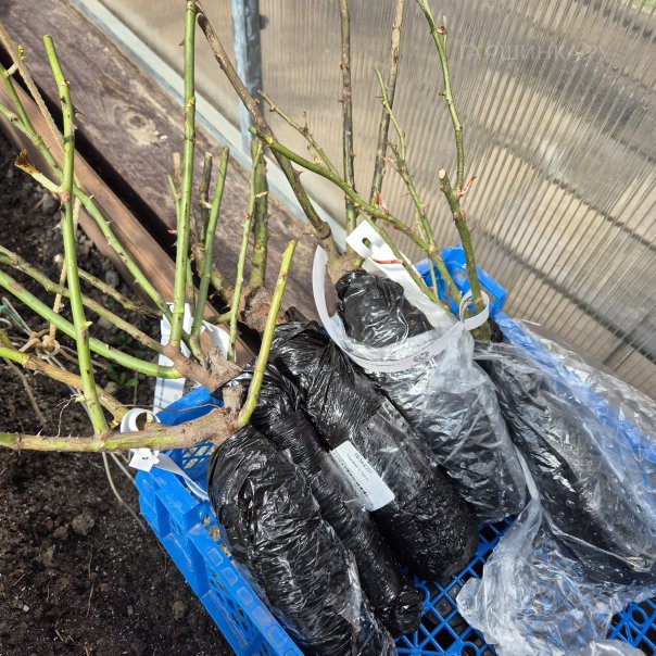 превью изображения отзыва