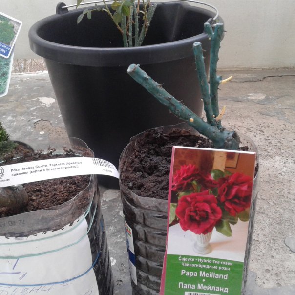 превью изображения отзыва