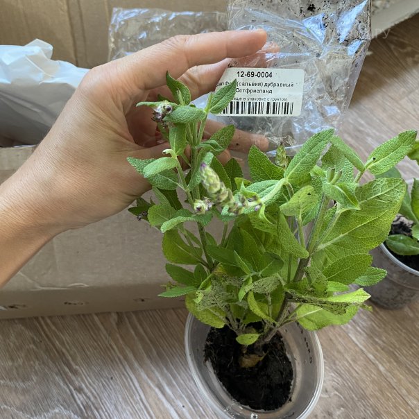 превью изображения отзыва