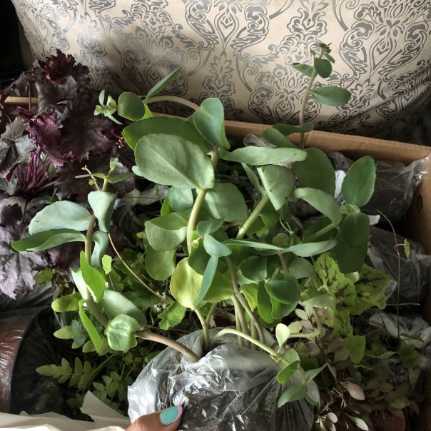 превью изображения отзыва