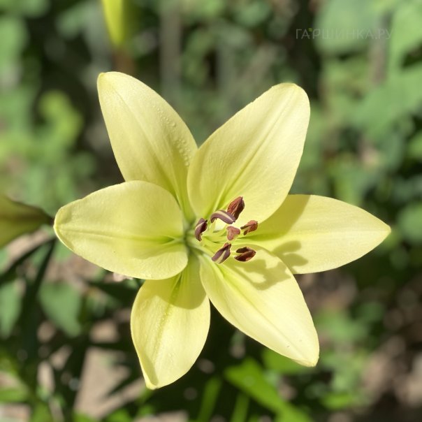 превью изображения отзыва