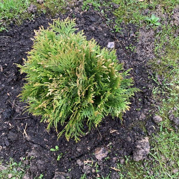 превью изображения отзыва