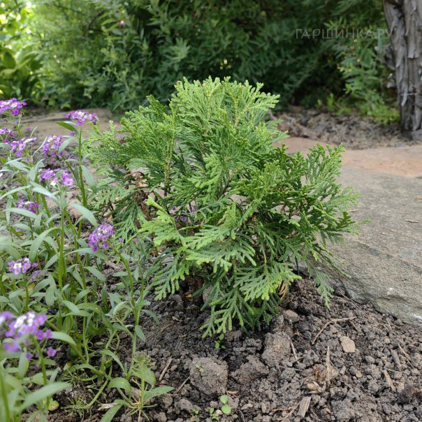 превью изображения отзыва