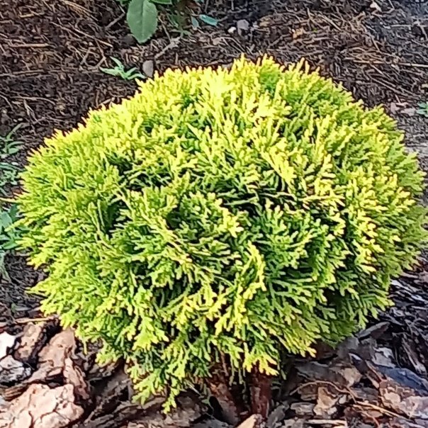 превью изображения отзыва