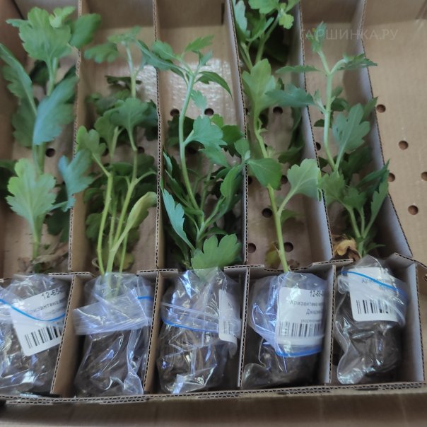 превью изображения отзыва