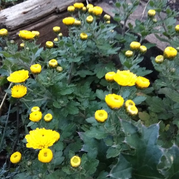 превью изображения отзыва