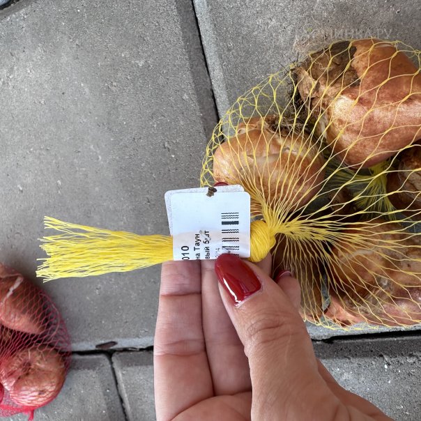 превью изображения отзыва