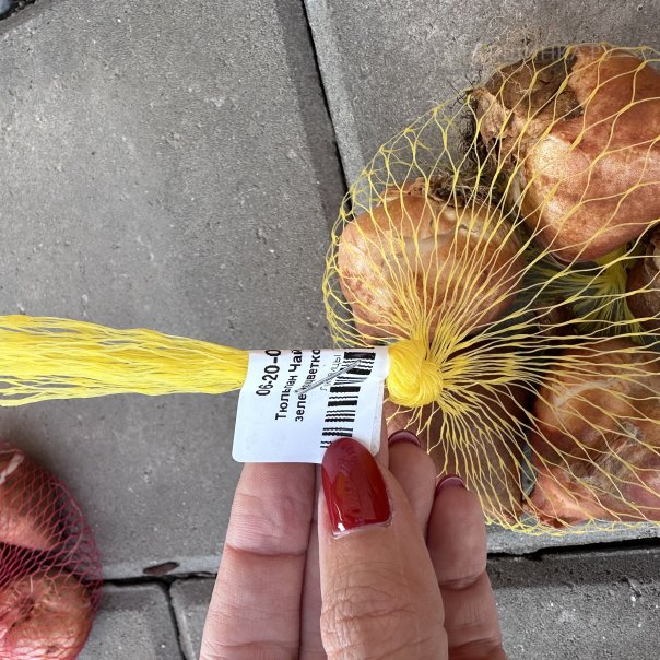 превью изображения отзыва