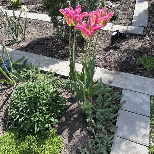 превью изображения отзыва