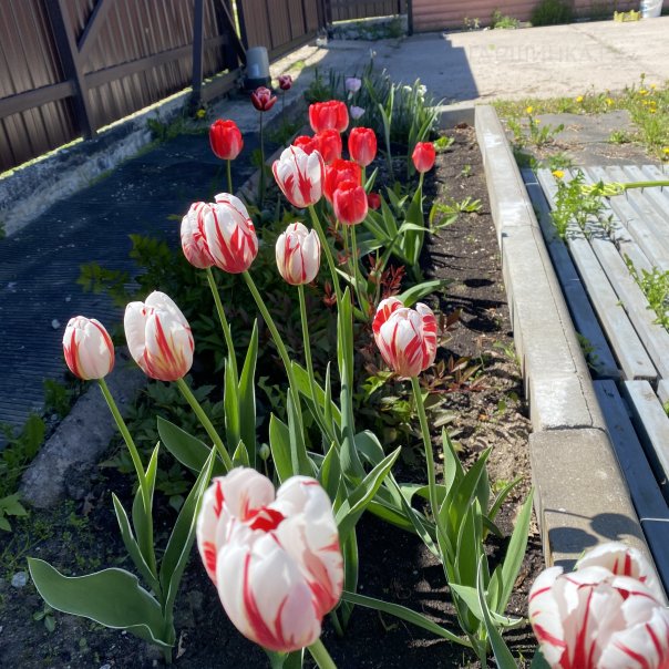 превью изображения отзыва