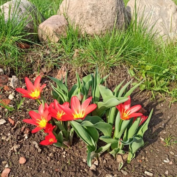 превью изображения отзыва