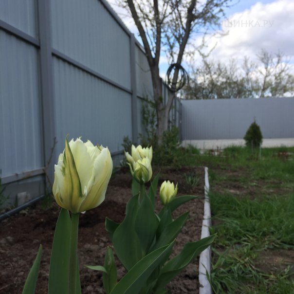 превью изображения отзыва