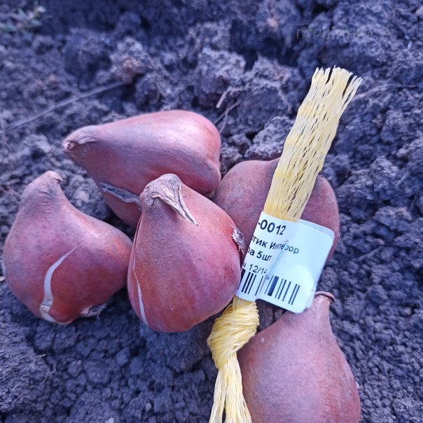 превью изображения отзыва