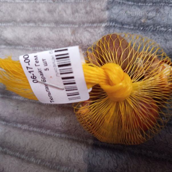 превью изображения отзыва