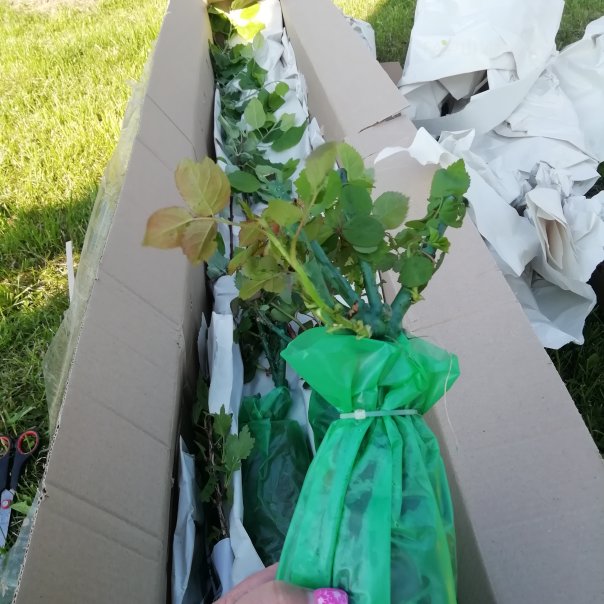 превью изображения отзыва