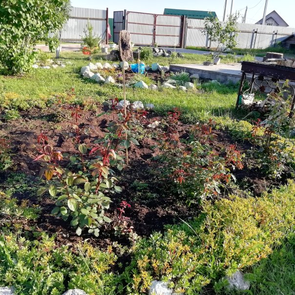 превью изображения отзыва