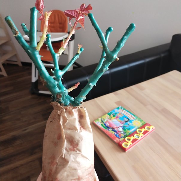 превью изображения отзыва