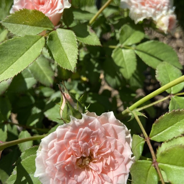 превью изображения отзыва