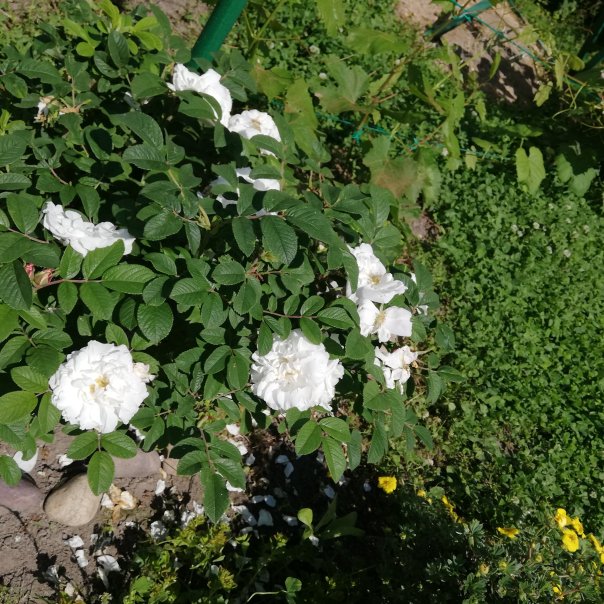 превью изображения отзыва