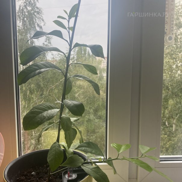 превью изображения отзыва