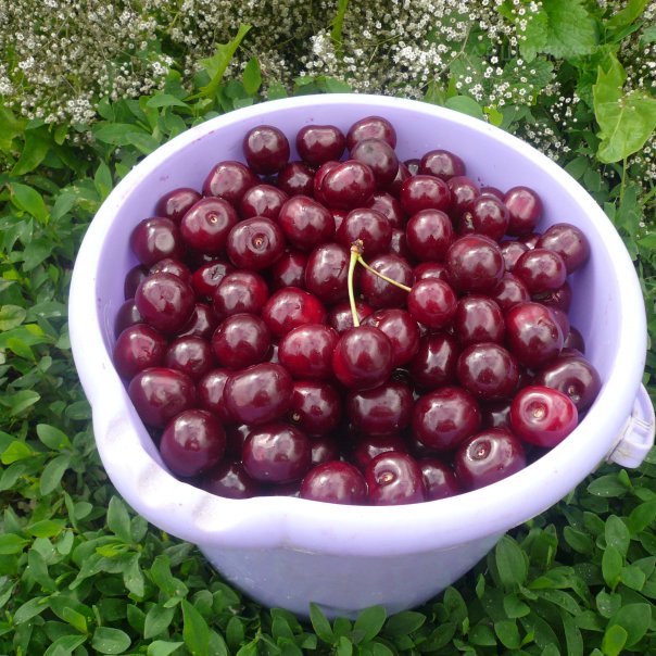 превью изображения отзыва