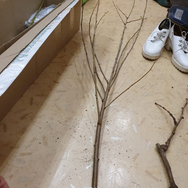 превью изображения отзыва