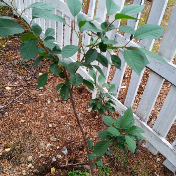 превью изображения отзыва