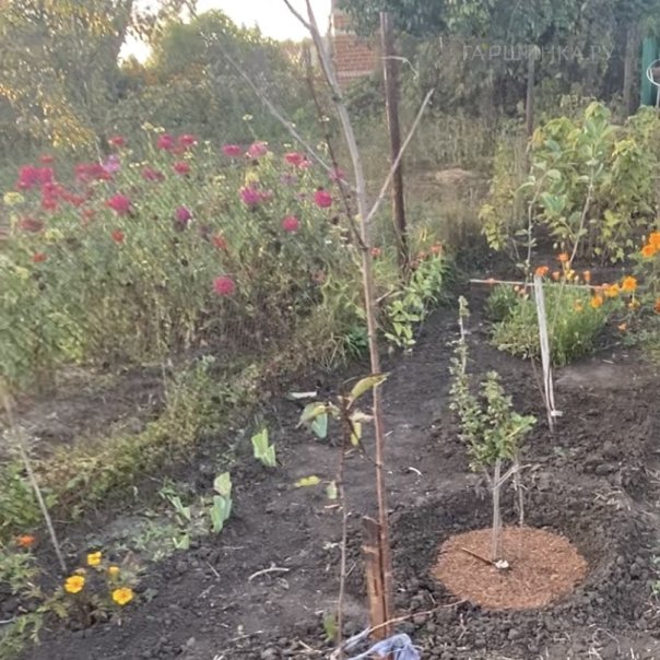 превью изображения отзыва