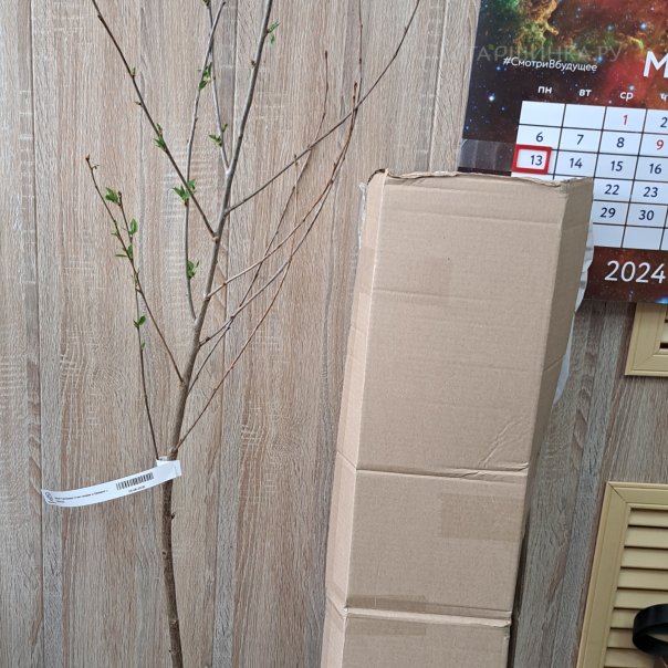 превью изображения отзыва