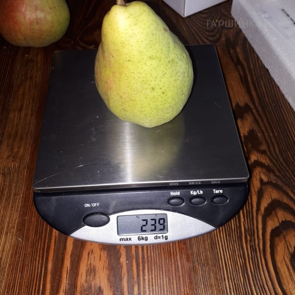 превью изображения отзыва