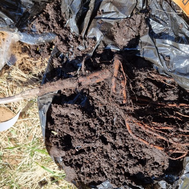 превью изображения отзыва