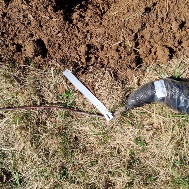 превью изображения отзыва