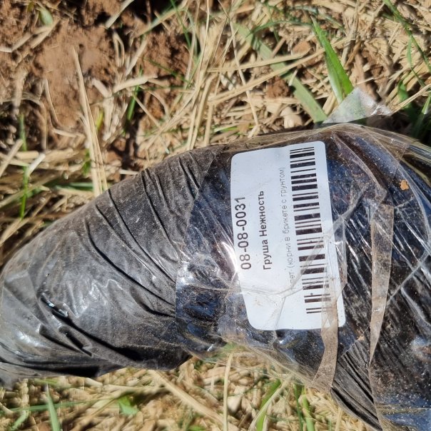 превью изображения отзыва