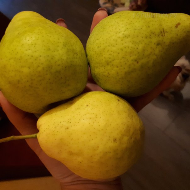 превью изображения отзыва