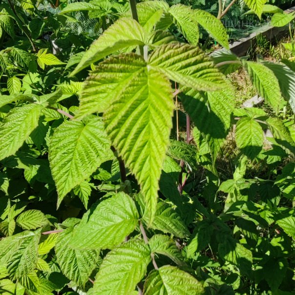 превью изображения отзыва