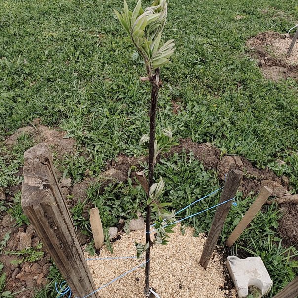 превью изображения отзыва