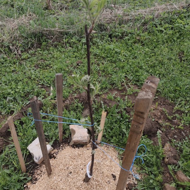 превью изображения отзыва