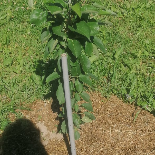 превью изображения отзыва