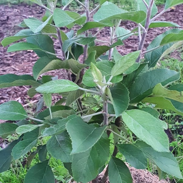 превью изображения отзыва