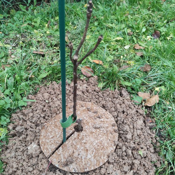 превью изображения отзыва