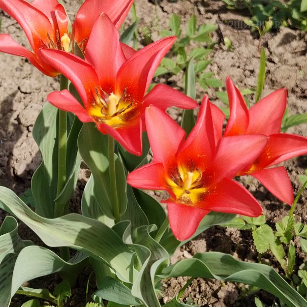 превью изображения отзыва