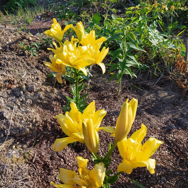 превью изображения отзыва