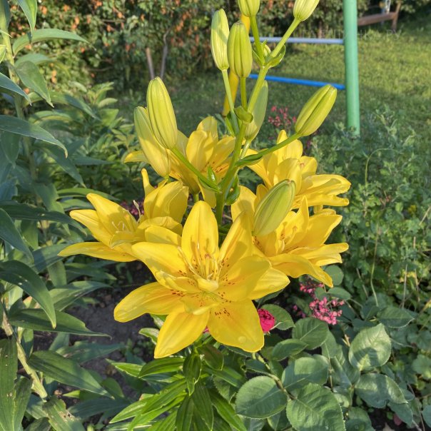 превью изображения отзыва