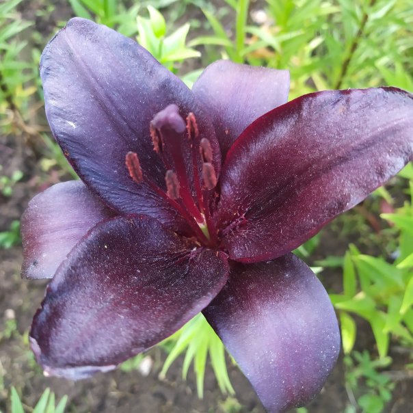 превью изображения отзыва