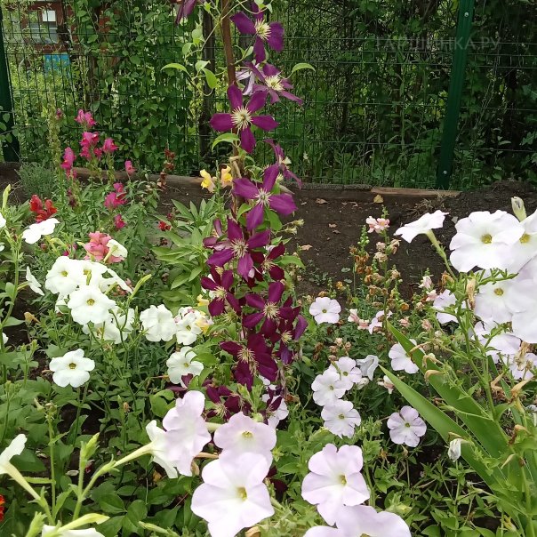 превью изображения отзыва