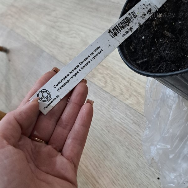 превью изображения отзыва