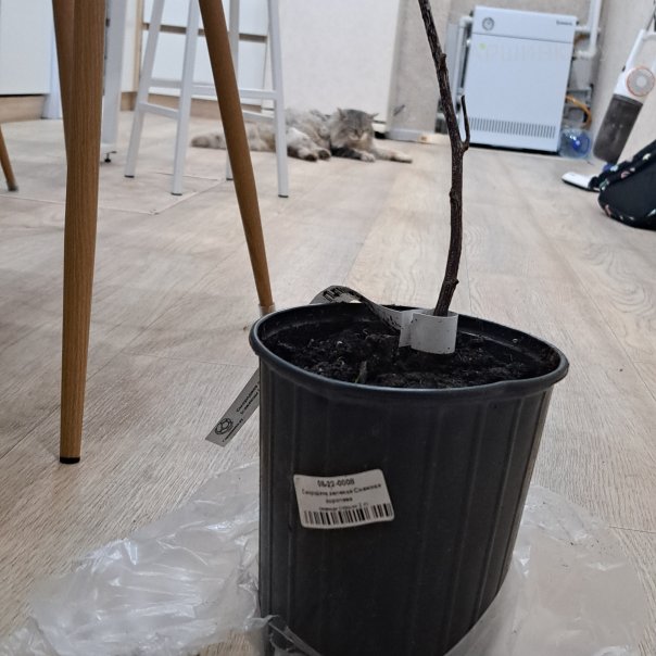 превью изображения отзыва