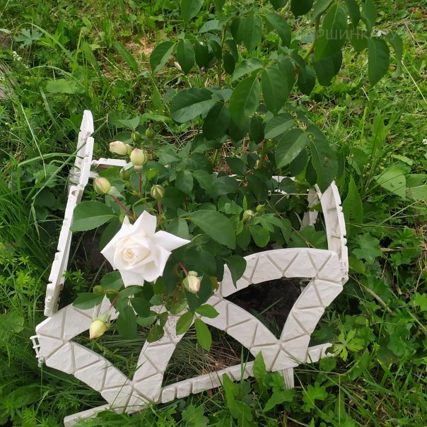 превью изображения отзыва