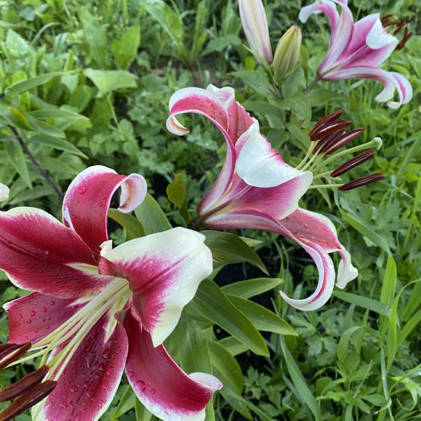 превью изображения отзыва