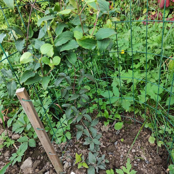 превью изображения отзыва